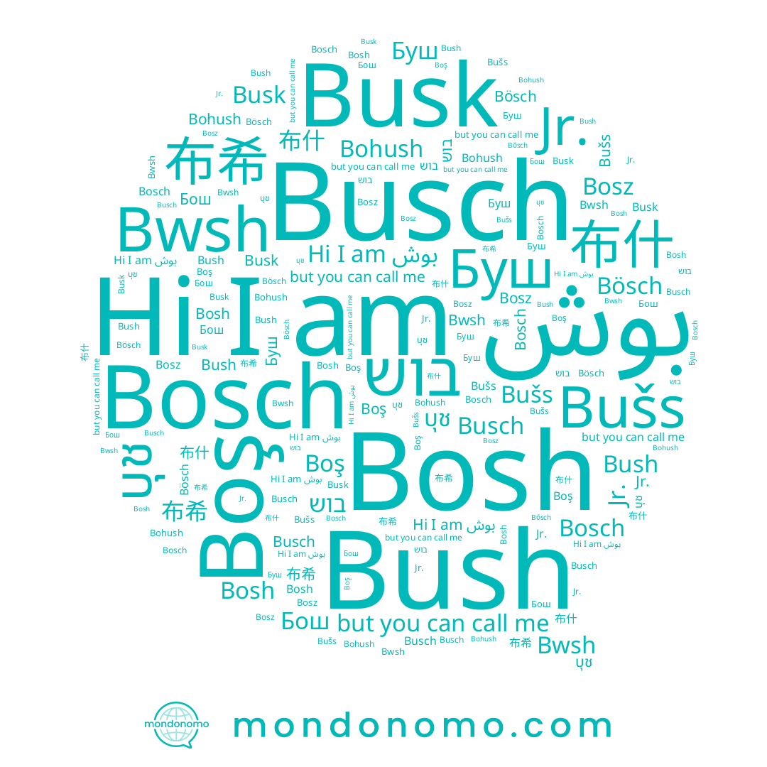 name Bosh, name Bosch, name بوش, name Bösch, name บุช, name בוש, name Бош, name Буш, name 布什, name Bush, name 布希, name Bušs, name Busch, name Bosz, name Busk, name Bohush, name Jr., name Boş