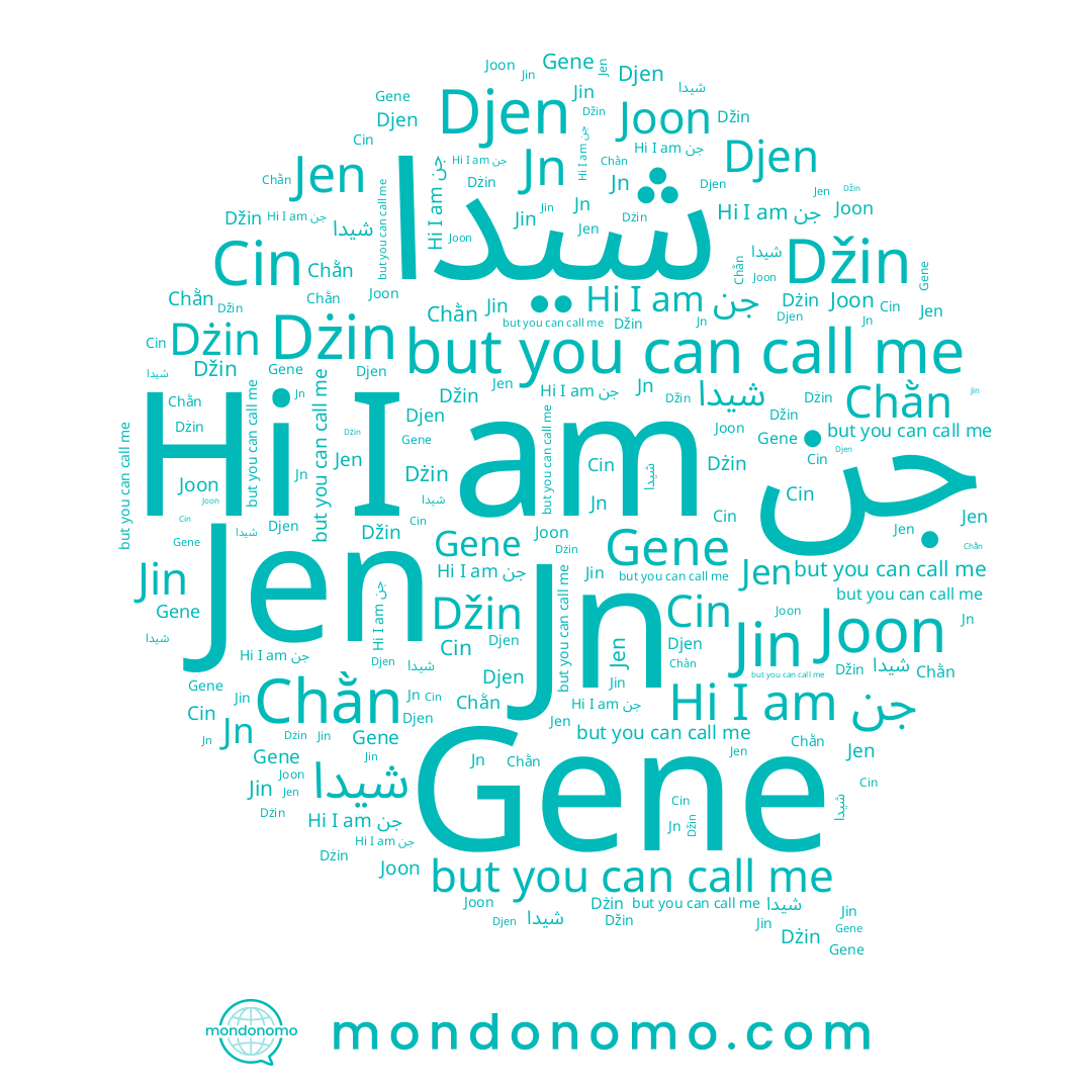 name Dżin, name شیدا, name جن, name Jin, name Cin, name Djen, name Jen, name Joon, name Džin, name Gene, name Chằn