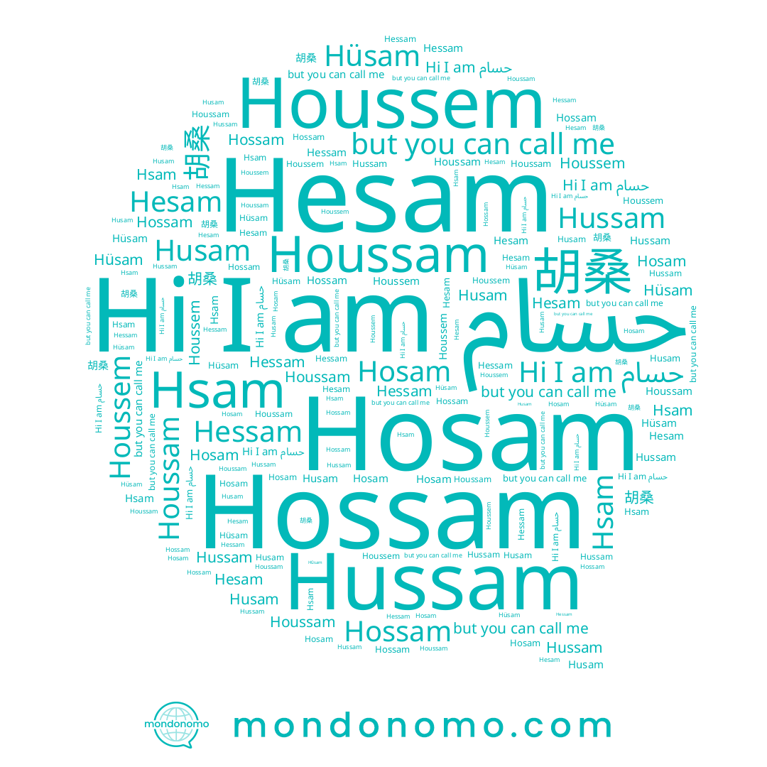 name 胡桑, name Hossam, name Hesam, name Houssem, name Hüsam, name Hussam, name حسام, name Hessam, name Husam, name Houssam, name Hosam, name Hsam