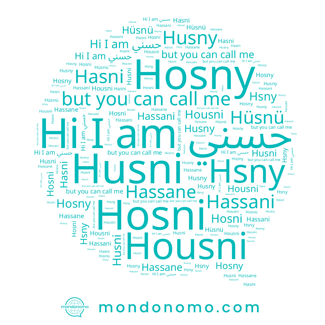 name Husni, name Hasni, name Hassani, name Hsny, name Husny, name Hassane, name Hosni, name Housni, name Hosny, name Hüsnü, name حسني