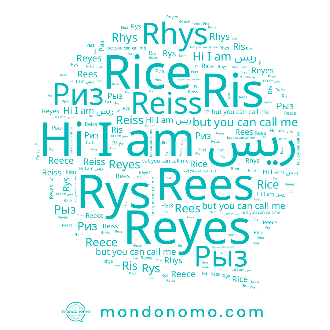 name Rys, name Reece, name Rice, name Риз, name ریس, name Reyes, name Ris, name Reiss, name Rees, name Rhys, name Рыз