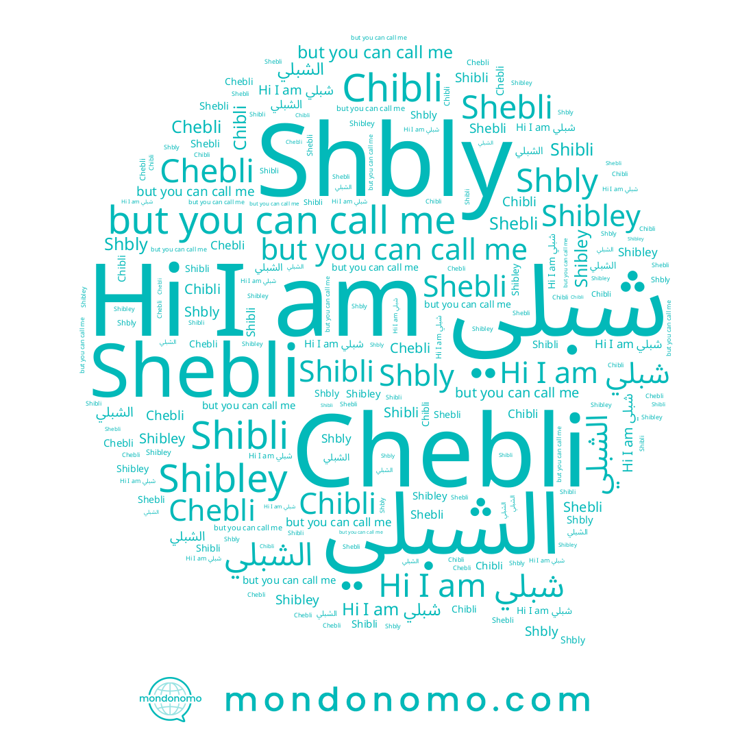 name Shbli, name الشبلي, name Shibley, name شبلي, name Shibli, name Chebli, name Shbly, name Chibli