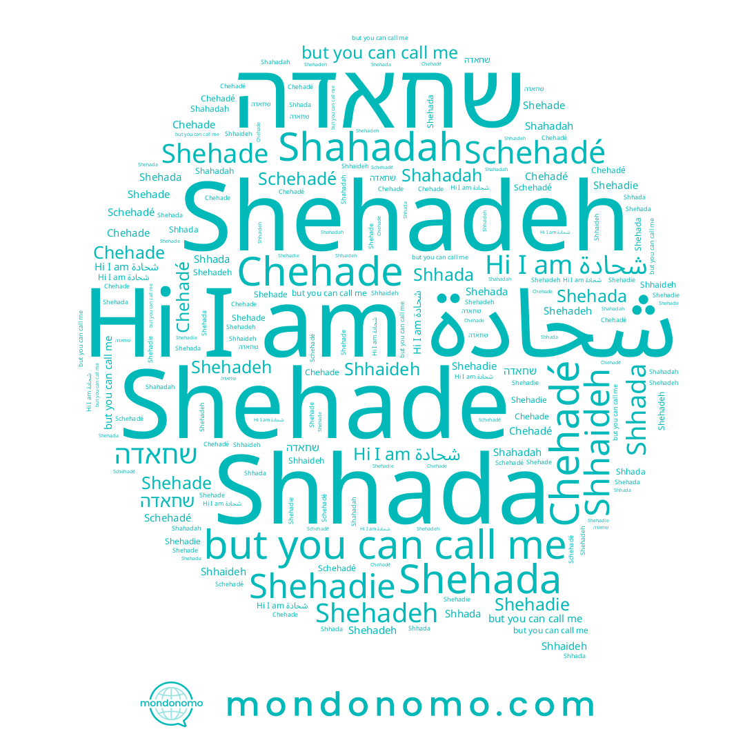 name Shehadie, name Chehade, name Shhaideh, name شحادة, name Chehadé, name Shhada, name שחאדה, name Shehada, name Shehade, name Shahadah, name Shehadeh, name Schehadé