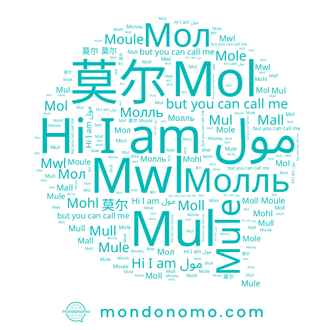 name Mall, name Moll, name Mule, name Mol, name مول, name Moule, name Mul, name Молль, name Mohl, name Mull, name 莫尔, name Mole