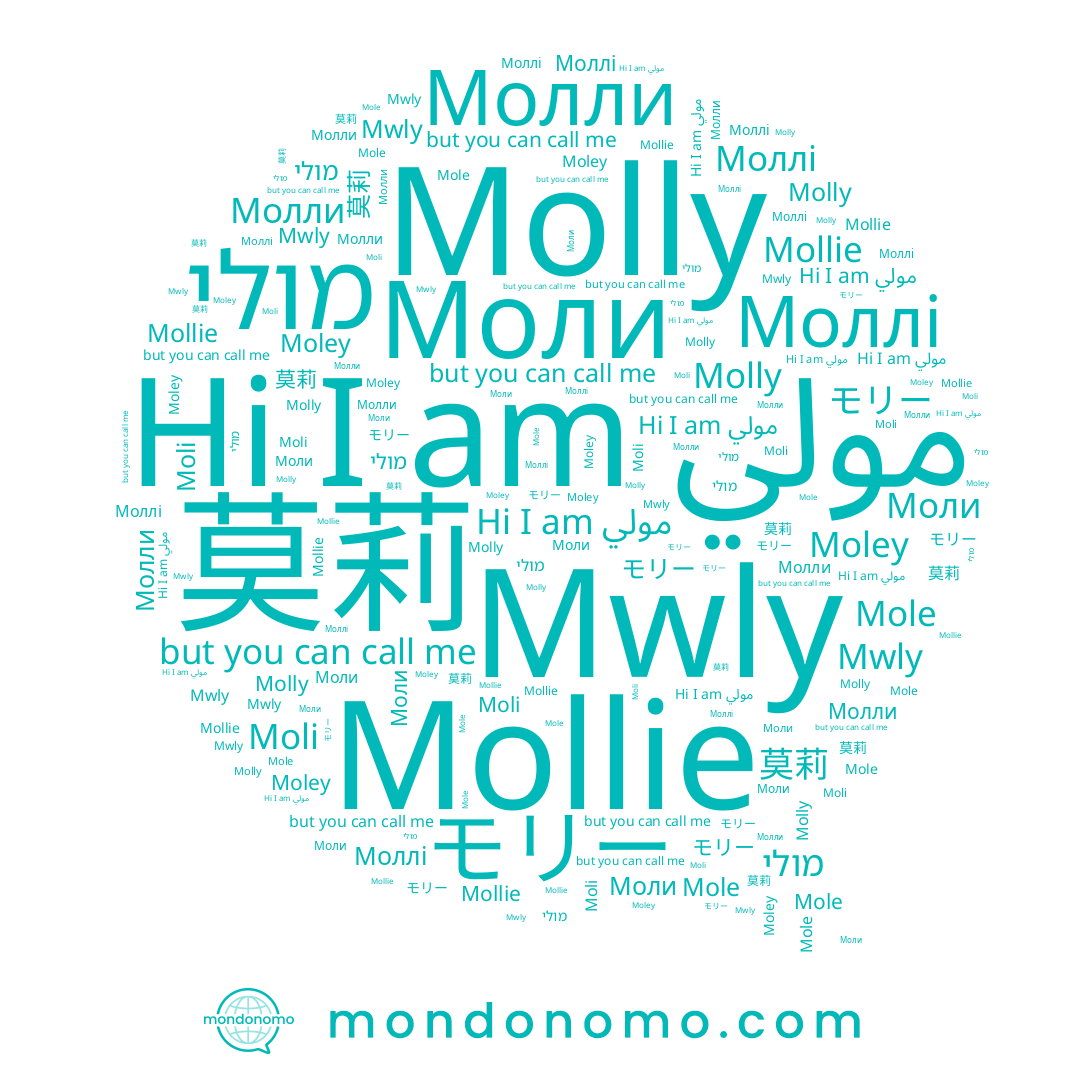 name 莫莉, name Moli, name モリー, name Mollie, name Moley, name Моллі, name Моли, name Mole, name Molly, name Молли, name مولي, name Mwly, name מולי