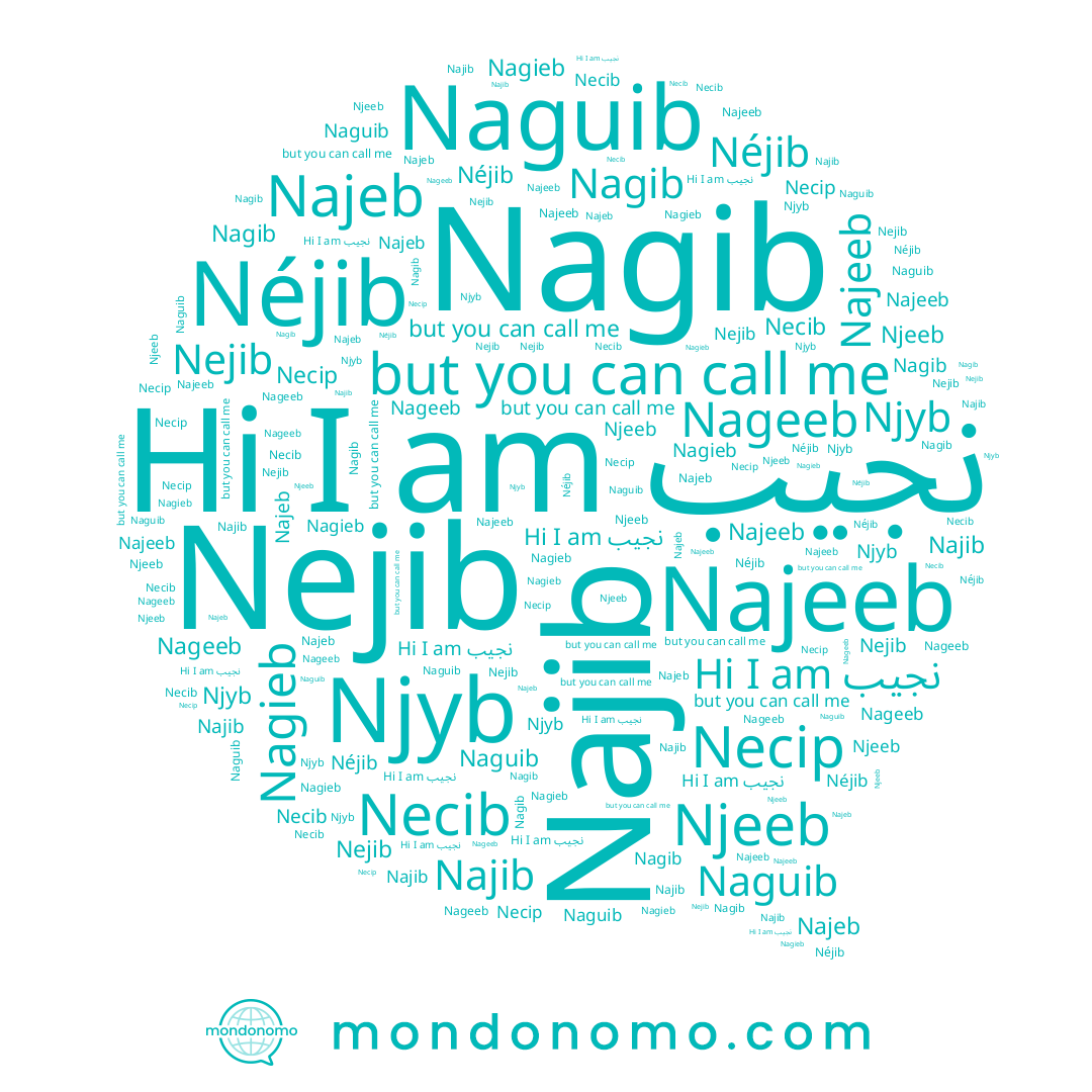 name Necib, name Najib, name Njib, name Necip, name Najeeb, name Najeb, name Nejib, name Nageeb, name Nagieb, name Nagib, name Naguib, name Néjib, name Njeeb, name نجيب