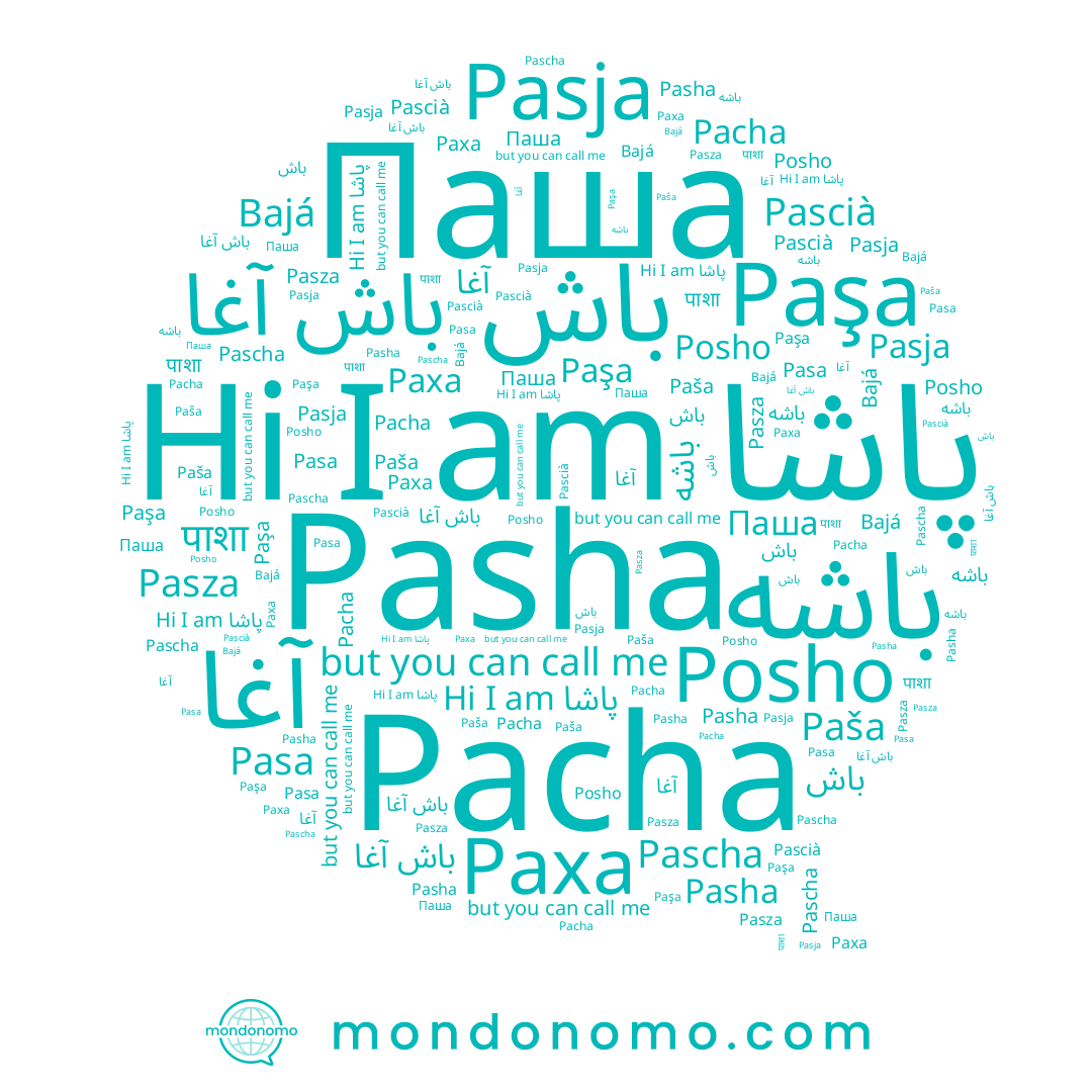 name Bajá, name Paša, name Pascià, name باشه, name باش, name باش آغا, name Pasha, name Pascha, name पाशा, name Paxa, name Паша, name Pacha, name Pasa, name آغا, name Pasza