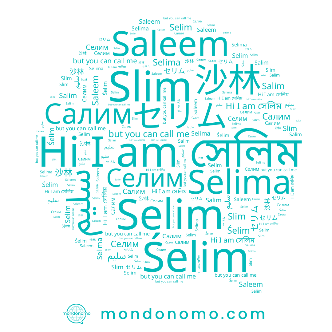 name Selima, name Selim, name سليم, name Селим, name 沙林, name সেলিম, name Śelim, name Salim, name Saleem, name Slim, name セリム, name Салим