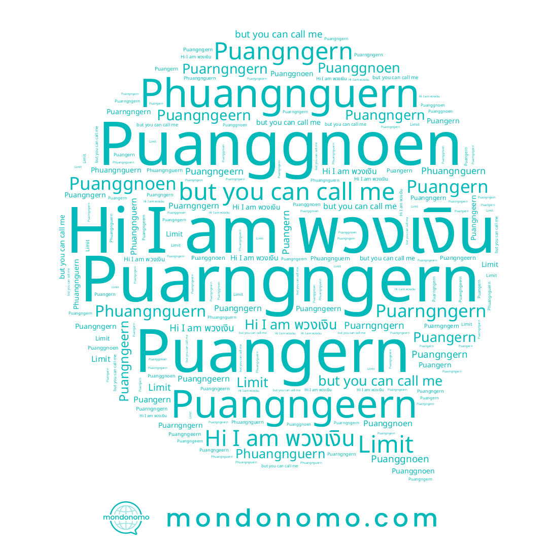 name พวงเงิน, name Puangngern, name Phuangnguern, name Puangern, name Puangngeern, name Puanggnoen