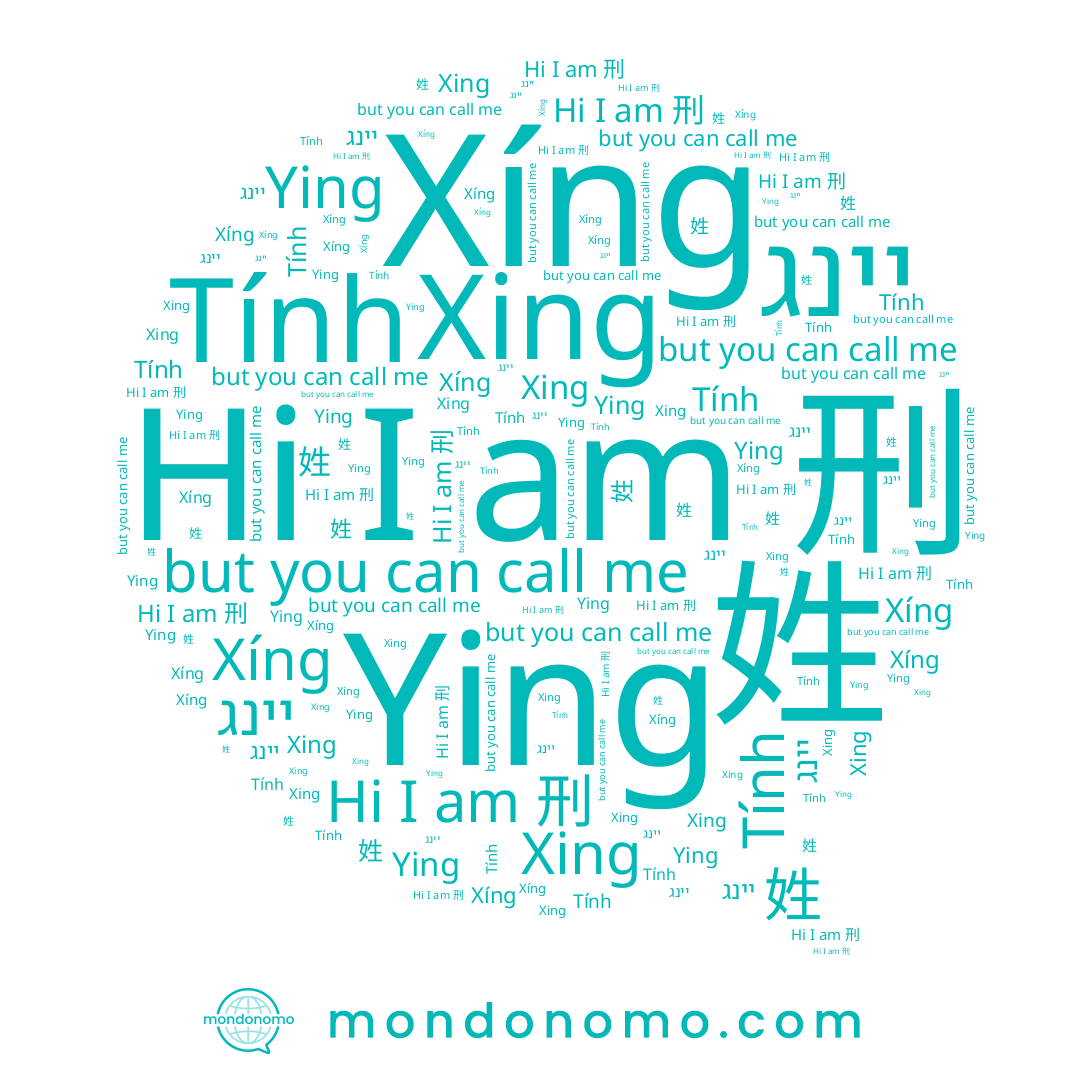 name Tính, name 刑, name Ying, name יינג, name 형, name 姓, name Xíng, name Xing