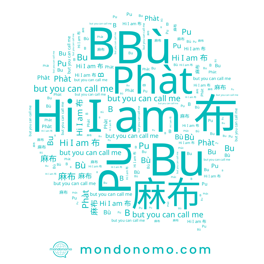 name 포, name Bù, name B, name Bu, name 麻布, name 布, name Phàt, name Pu