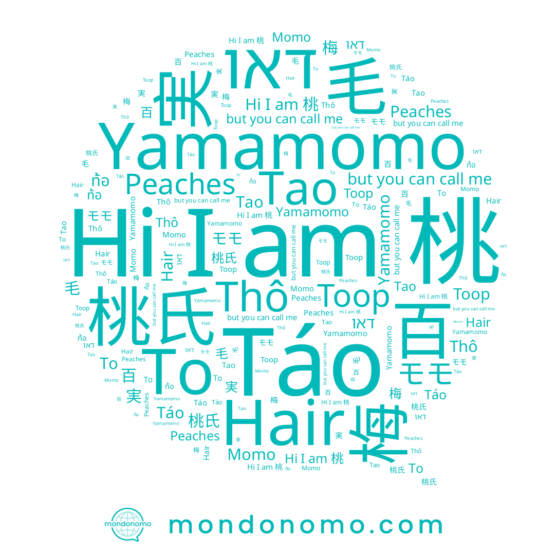 name To, name 梅, name モモ, name Yamamomo, name Тоор, name Hair, name Momo, name 実, name 毛, name Táo, name 桃, name Tao, name Peaches, name Thô, name 桃氏, name דאו, name 百