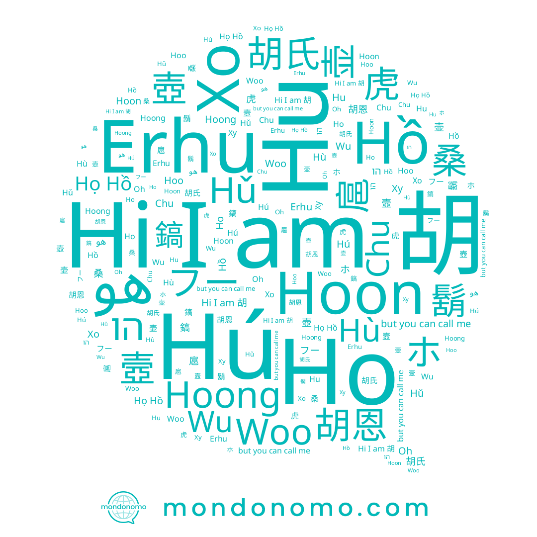 name Oh, name 胡氏, name 虎, name Chu, name 壺, name Wu, name 扈, name 胡恩, name هو, name Hoon, name Hǔ, name 壼, name Hú, name Hoong, name Erhu, name 鎬, name Woo, name Hồ, name Hoo, name フー, name ホ, name Hù, name Ху, name 호, name 胡, name 桑, name 壶, name Ho, name Hu, name 鬍, name Хо, name הו