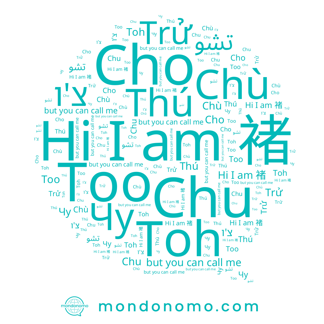 name تشو, name Chù, name Trử, name Cho, name Too, name Чу, name 褚, name Chu, name צ'ו, name Toh