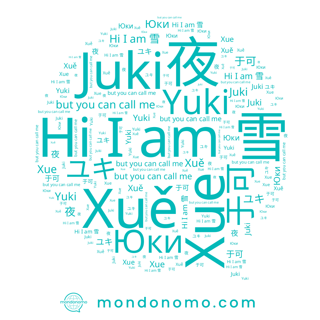 name Юки, name 雪, name Xuě, name Juki, name 夜, name Yuki, name ユキ, name 于可, name Xue