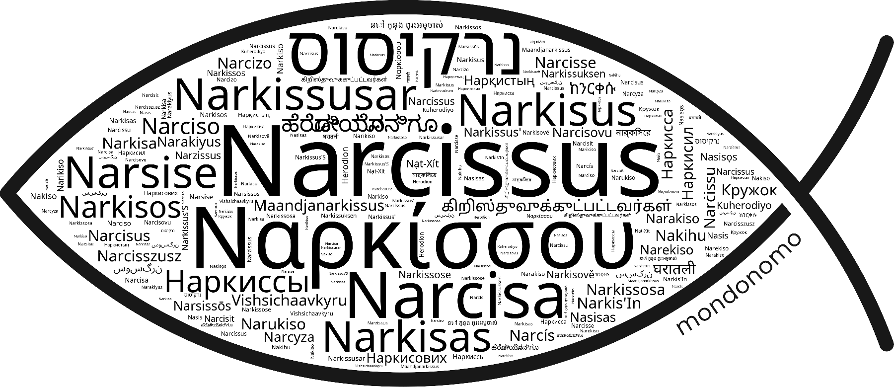 Name Narcissus in the world's Bibles