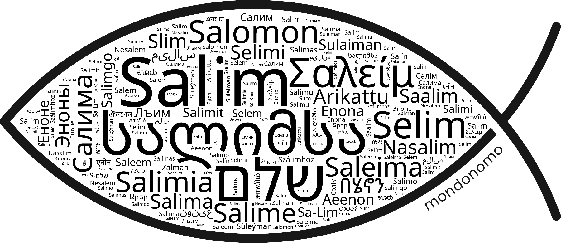 Name Salim in the world's Bibles