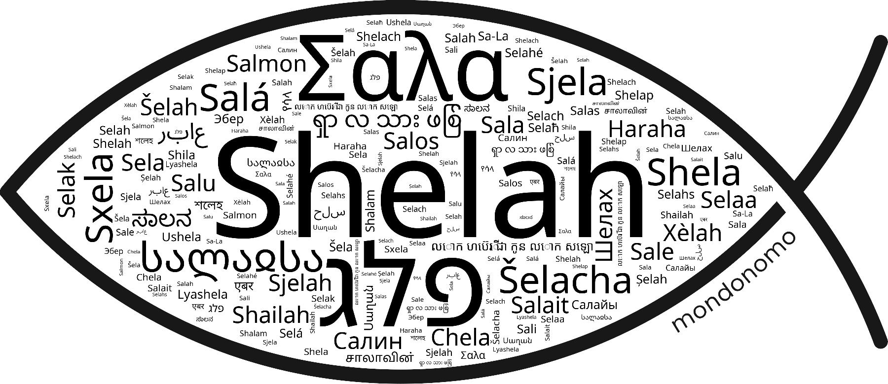 Name Shelah in the world's Bibles