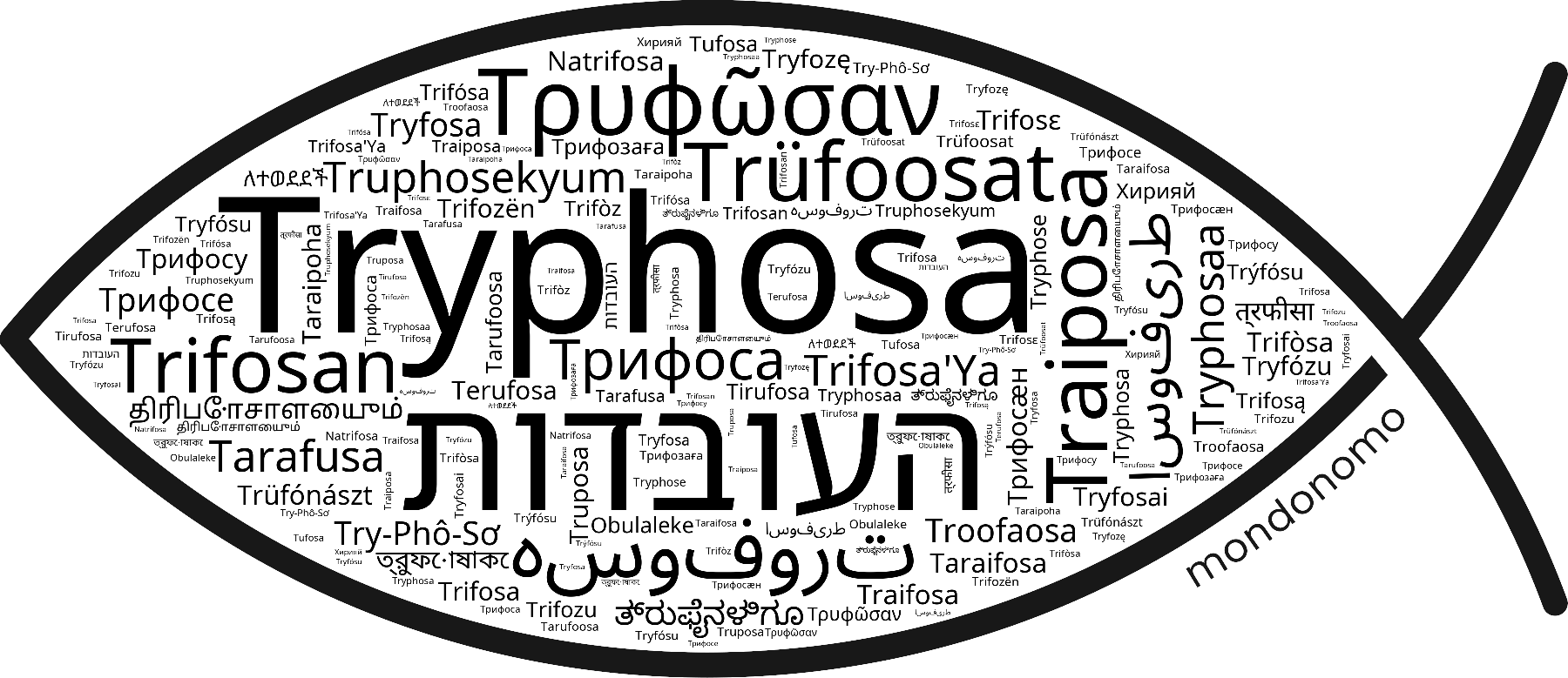 Name Tryphosa in the world's Bibles