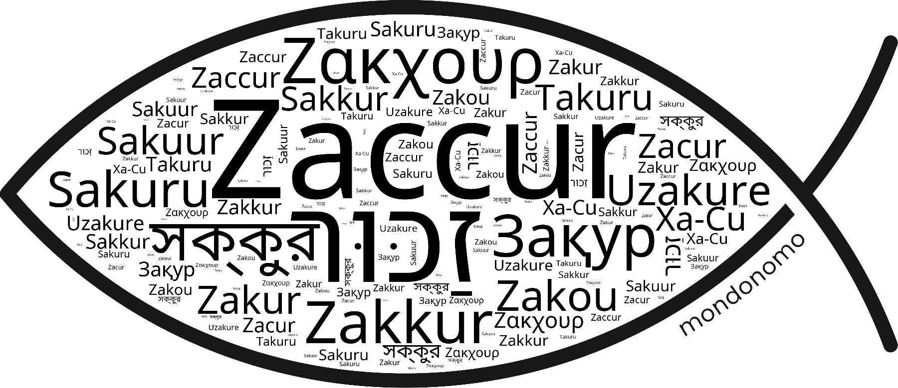 Name Zaccur in the world's Bibles
