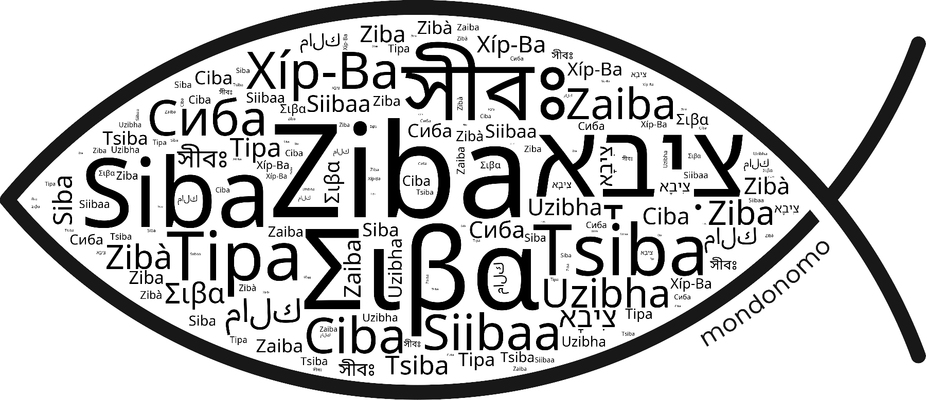 Name Ziba in the world's Bibles